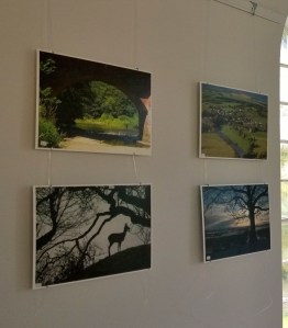 WP_20141026_12_32_57_Pro